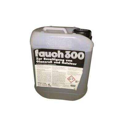 Sanit Chemie-IS SANIT Fauch 300 5 Liter Kanister