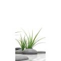 Zen Steine + Gras